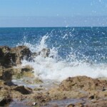 Elizabeth Lonoff - Waves Elizabeth Lonoff - Waves