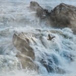 Fritz Ernst - Waterfall Fritz Ernst - Waterfall