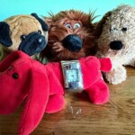 Mary Lu Bednarsky - Watchdog Mary Lu Bednarsky - Watchdog