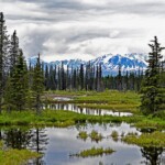 Michael Hamilton - Water Alaska Michael Hamilton - Water Alaska