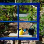 Richard Steelman - Window Richard Steelman - Window