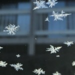 Arlene Gribben-CY2023-Frost crystals Arlene Gribben-CY2023-Frost crystals