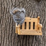 Buck Myers-CY2023-Squirrel Buck Myers-CY2023-Squirrel