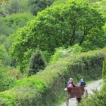 Elizabeth Lonoff-CY2023-Ireland Elizabeth Lonoff-CY2023-Ireland