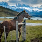 Steve Brown-CY2023-Patagonia Steve Brown-CY2023-Patagonia