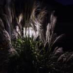 Michael Hamilton - Outdoors at Night Michael Hamilton - Outdoors at Night