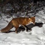 Richard Ackerman - Outdoors at Night Richard Ackerman - Outdoors at Night