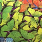 Arlene Gribben - Get Close - Jigsaw Puzzle Arlene Gribben - Get Close - Jigsaw Puzzle