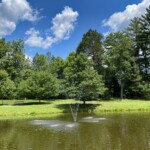 Charlotte Rosenfield - Green Spring Gardens Charlotte Rosenfield - Green Spring Gardens