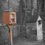 Charlotte Rosenfield - Little Library Charlotte Rosenfield - Little Library
