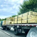 Dick Martin - Lumber Dick Martin - Lumber