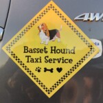 Arlene Gribben - Signs Arlene Gribben - Signs