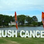 Charlotte Rosenfield - Signs Charlotte Rosenfield - Signs