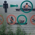 Elizabeth Lonoff - Signs Elizabeth Lonoff - Signs