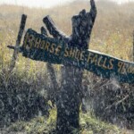 Kathy DIllon - Signs Kathy DIllon - Signs