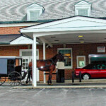 Ray Bednarsky - Vehicles Ray Bednarsky - Vehicles