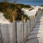 Doug O'Boyle - Color Doug O'Boyle - Color