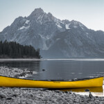 Steve Brown - Color Steve Brown - Color