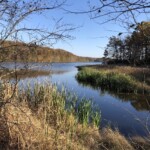 Arlene Gribben - Burke Lake Arlene Gribben - Burke Lake