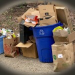 Charlotte Rosenfield - Bags, Boxes and Bins Charlotte Rosenfield - Bags, Boxes and Bins