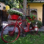 Fritz Ernst - Bicycle Fritz Ernst - Bicycle