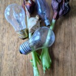 Jona Wheeler - Bulbs Jona Wheeler - Bulbs