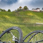 Steve Brown - Bicycles Steve Brown - Bicycles