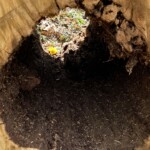 Charlotte Rosenfield - Framing - Looking thru the hollow log Charlotte Rosenfield - Framing - Looking thru the hollow log