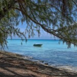 Fritz Ernst - Framing Fritz Ernst - Framing