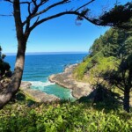 Mary Lu Bedarsky - Framing Mary Lu Bedarsky - Framing