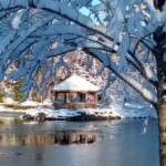 Richard Ackerman - Framing - Greenspring Park Richard Ackerman - Framing - Greenspring Park