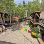 Mary Lu Bednarsky - Shadows Mary Lu Bednarsky - Shadows