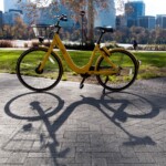 Steve Brown - Shadows Steve Brown - Shadows