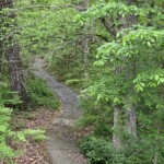 Charlotte Rosenfield - Shapes Charlotte Rosenfield - Shapes