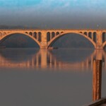 Doug O'Boyle - Shapes Doug O'Boyle - Shapes