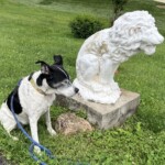 Richard Martin - Shapes Richard Martin - Shapes