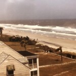 Arlene Gribben - Coastline Arlene Gribben - Coastline