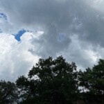 Linda LeDuc - Clouds Linda LeDuc - Clouds