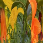 Charlotte Rosenfield - Abstract Charlotte Rosenfield - Abstract