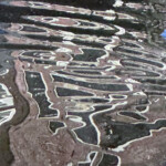 Kathy Dillon - Abstract Kathy Dillon - Abstract