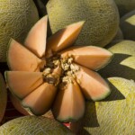 Buck Myers - Food Buck Myers - Food