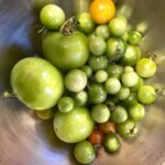 Charlotte Rosenfield - Food Charlotte Rosenfield - Food