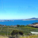 David Drachsler - Food David Drachsler - Food