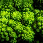 Doug O'Boyle - Food Doug O'Boyle - Food