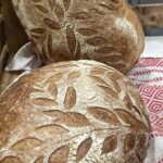 Elizabeth Lonoff - Food Elizabeth Lonoff - Food