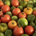 Kathy Dillon - Food Kathy Dillon - Food