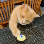 Ray Bednarsky - Food Ray Bednarsky - Food