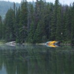 Arlene Gribben - Water Arlene Gribben - Water