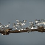 Fritz Ernst - Water Fritz Ernst - Water