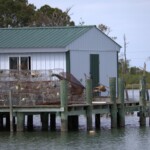 Matt Burns - Water Matt Burns - Water